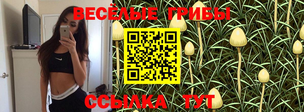 Псилоцибиновые грибы Cubensis Асино