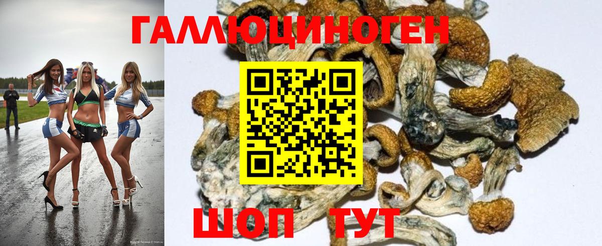 Галлюциногенные грибы мухоморы  Асино 
