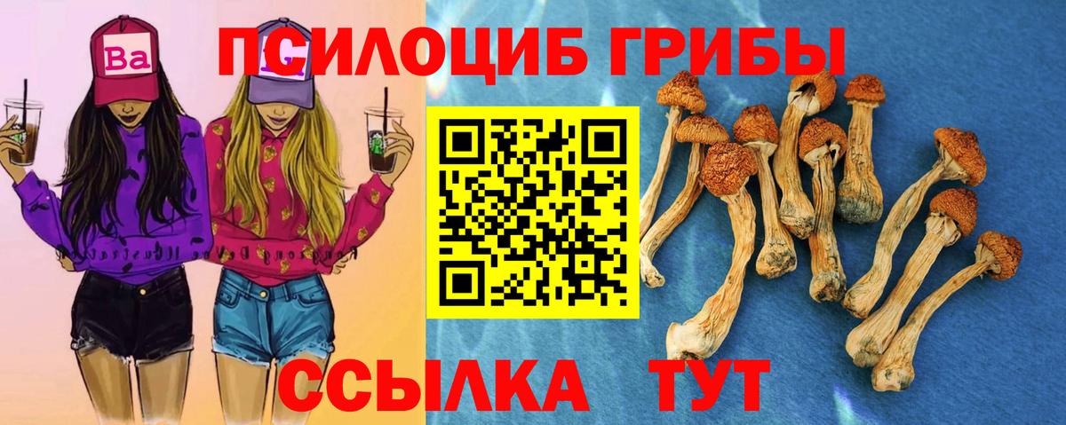 Галлюциногенные грибы MAGIC MUSHROOMS Асино